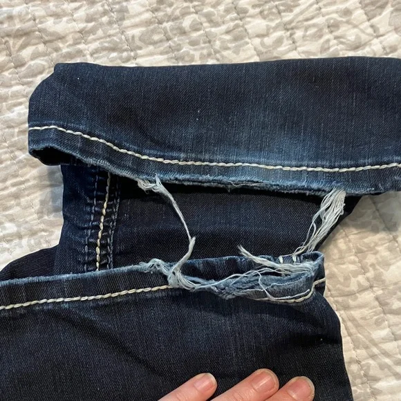 Silver Frances - Picture 4 of 10